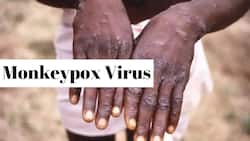 Health News Live: Strict Screening Of International Travelers After 2 Monkeypox Cases Reported In India