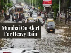 Heavy Rainfall May Increase Leptospirosis Risk In Mumbai, Advisory Issued