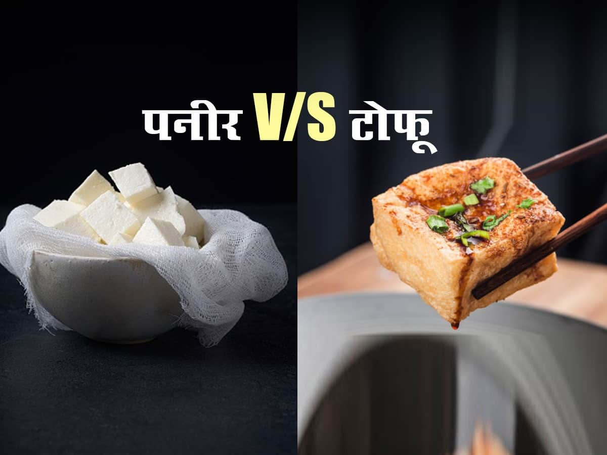 पनीर और टोफू में से क्या है ज्यादा हेल्दी, जानें दोनों की न्यूट्रिशनल