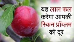 Healthy Fruits: यह लाल फल बरसाती मौसम में आपकी स्किन के लिए है फायदेमंद, Watch Video