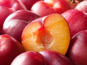 Plum Is The Show's Star This Monsoon: Recipe And Health Benefits