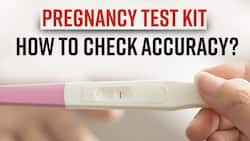 World Population Day: Here Is Everything You Need To Know About Pregnancy Test Kits, Watch Video