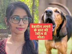 एंटी रेबीज वैक्सीन लेने के बावजूद केरल में कई लोगों की मौत, कुत्ते के काटने के बाद तुरंत करें ये काम