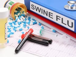 Swine Flu In Punjab: Growing Cases Raise Concern, Advisory Issued For Safety