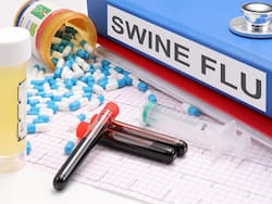 Delhi Government Takes Samples To Test African Swine Flu