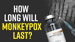 Monkeypox Outbreak: How Long Will The Monkeypox Virus Emergency Last? Watch Video