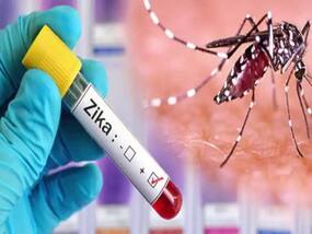 Zika Outbreak In Karnataka: Doctors Stress On Preventive Measures