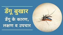 World Mosquito Day 2022: कैसे हैं डेंगू आपके लिए जानलेवा, जानें इस बीमारी के इलाज और बचाव के तरीके के बारे में, Watch Video