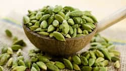 Cardamom (Elaichi): Health Benefits, Uses, Side Effects And More