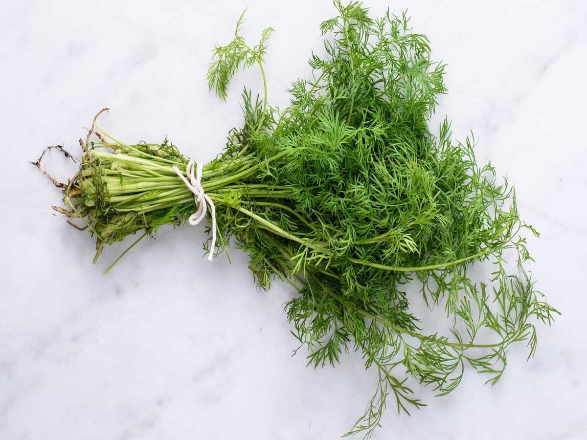 Dill Health Benefits, Uses, Side Effects Of Soa