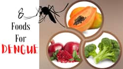 Foods For Dengue: Eat These 8 Foods To Recover Quickly