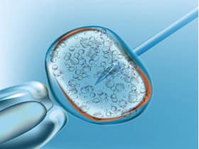IVF Pregnancy: Some Crucial Techniques That Help Embryologists Pick The Best Embryo IVF Pregnancy: Some Crucial Techniques That Help Embryologists Pick The Best Embryo
