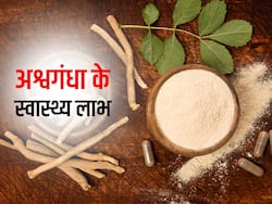 तनाव कम करने के अलावा भी हैं अश्वगंधा के कई फायदे, जानें आयुर्वेद में इसे किन बीमारियों में माना गया है असरदार