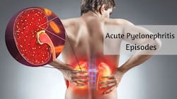 Acute Pyelonephritis Episodes: A Critical Kidney Infection That Should Not Be Ignored