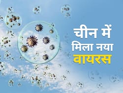 चीन में जूनेटिक लैंग्या वायरस की पहचान, संक्रमितों में दिख रहे हैं ये लक्षण