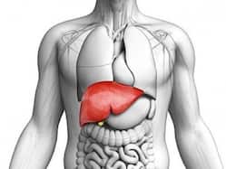 Dietary Interventions For Reversing Non-Alcoholic Fatty Liver Disease: Expert Tips