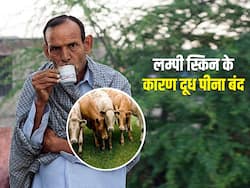 राजस्थान में बढ़ा लम्पी स्किन का डर,लोग पी रहे हैं बिना दूध की चाय, जानें काली चाय पीने के फायदे-नुकसान