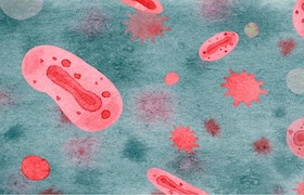 WHO Says, Genetic Mutation Of Monkeypox Virus May Be Exacerbating Transmission