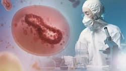 Health News LIVE: Delhi Reports Over 2,000 COVID-19 Cases For Fifth Consecutive Day