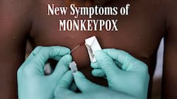 New Monkeypox Symptoms: These Two Signs Can Indicate That You Are Infected