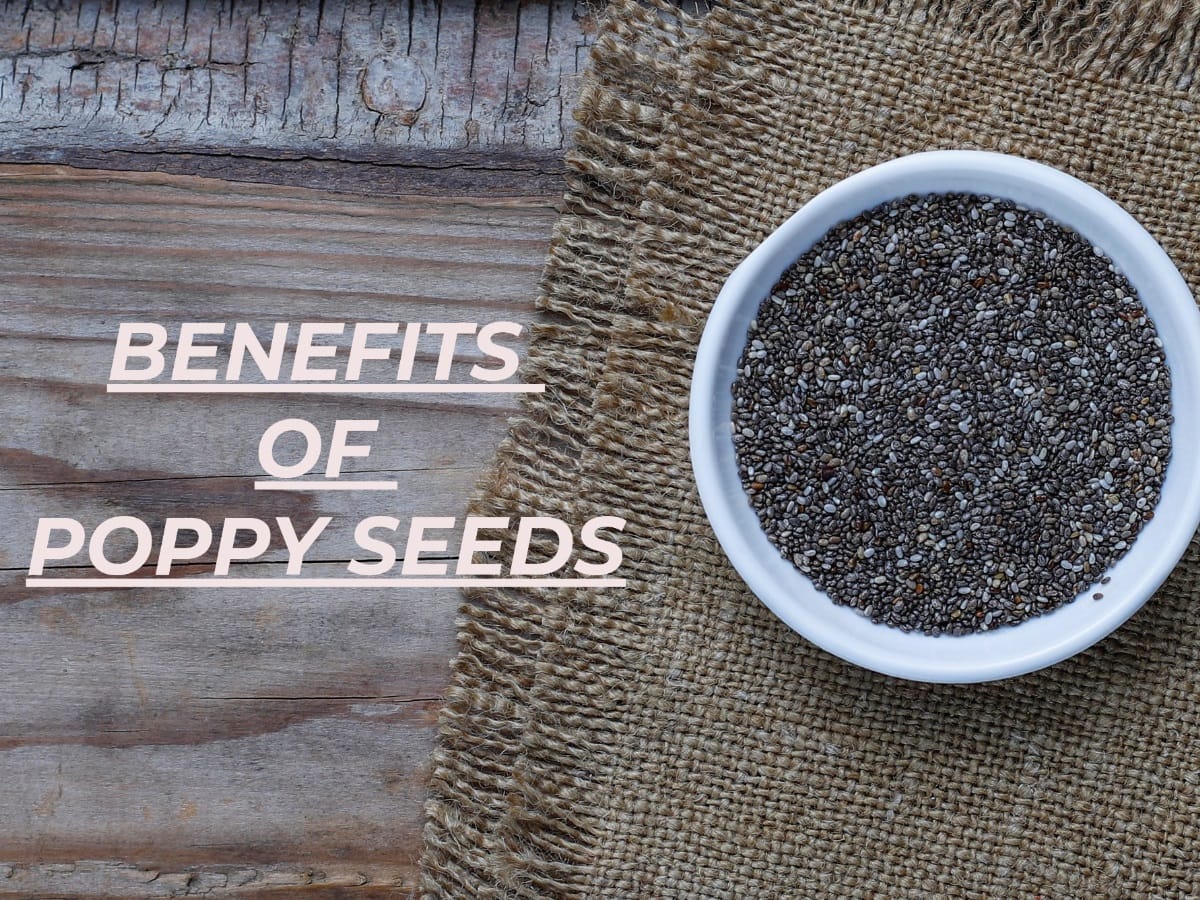 Poppy Seeds Health Benefits Uses And Side Effects Of Khus Khus