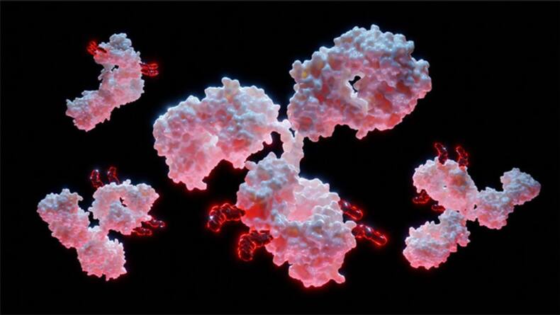 Breast Milk Composition: Millions of Live Cells To Amino Acids, Here's What Is There In Your Breast Milk