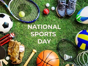 National Sports Day: Preventive Strategies To Avoid Sport Injuries