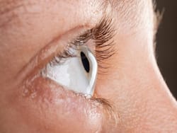 New Bioengineered Cornea Helps Blind People See: It Is Made Of Protein From Pig's Skin