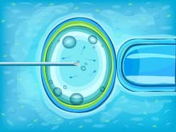 Fertility Treatment: A Few Things That You Should Take Care Of If You Are Considering IVF