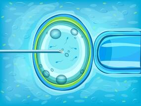 Fertility Treatment: A Few Things That You Should Take Care Of If You Are Considering IVF