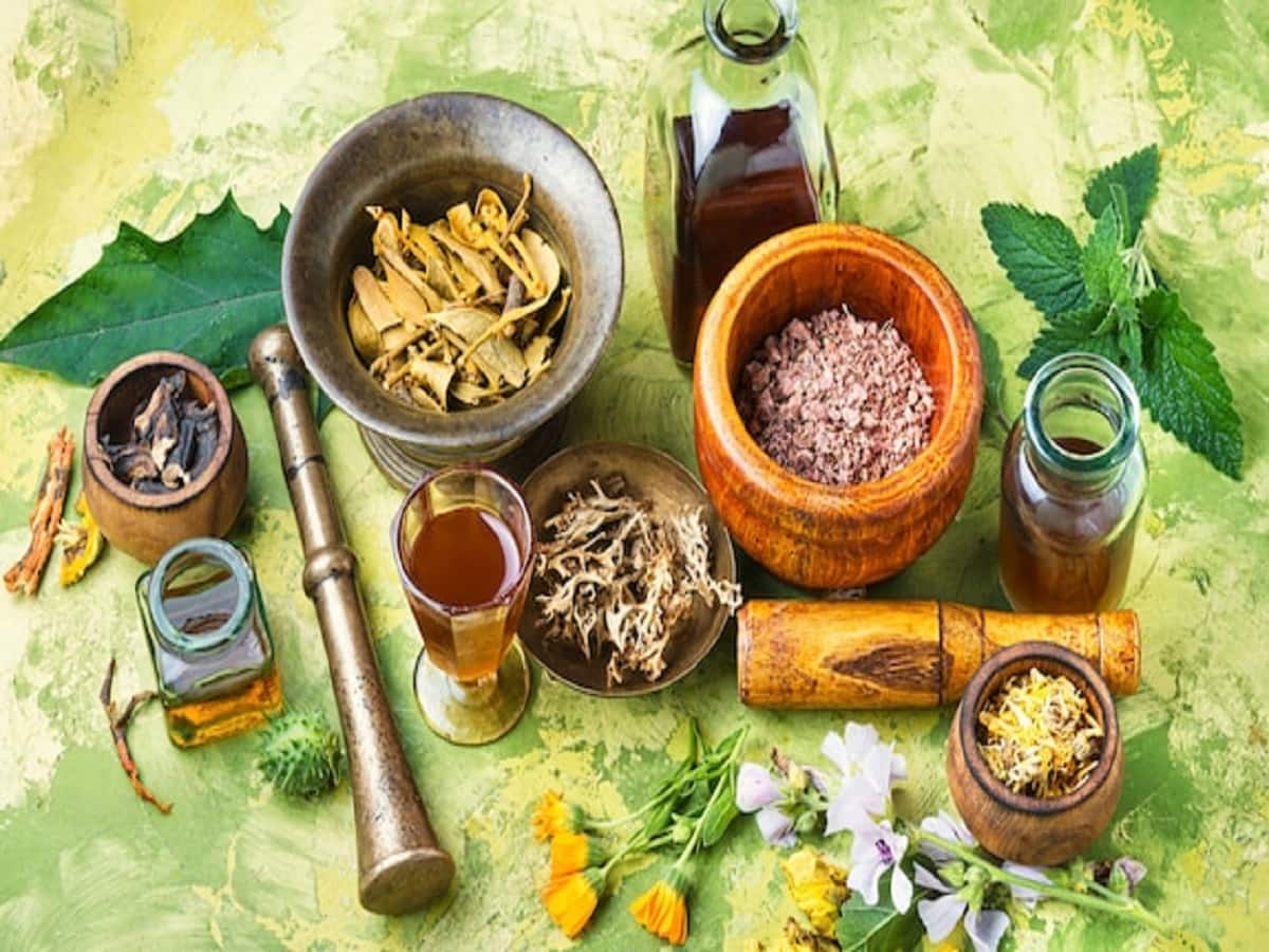 'Ayush industry is one of the fastest growing sectors of the Indian ...