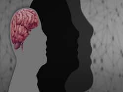 6 Brain Boosting Nutritious Rich Foods For You