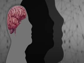 6 Brain Boosting Nutritious Rich Foods For You