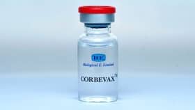 Corbevax वैक्सीन को प्रिकॉशन डोज के तौर पर मिली मंजूरी, Covaxin या Covishield की डोज लेने वालों को भी दी जा सकेगी ये वैक्सीन Corbevax वैक्सीन को प्रिकॉशन डोज के तौर पर मिली मंजूरी, Covaxin या Covishield की डोज लेने वालों को भी दी जा सकेगी ये वैक्सीन