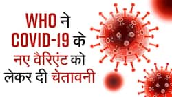 COVID-19: कोरोना के नए वैरिएंट से घबराया WHO, विश्व को दी सतर्क रहने की सलाह, Watch Video