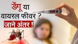 Dengue Vs Viral Fever: जानें डेंगू और वायरल फीवर का अंतर, डॉक्टर से, Watch Video