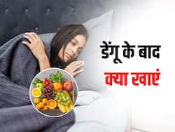 डेंगू होने के बाद जल्द रिकवरी के लिए खाएं ये 4 फल, तेजी से बढ़ेंगे प्लेटलेट्स