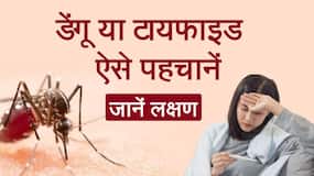 Dengue And Typhoid: जानें डेंगू और टाइफाइड के लक्षणों के बीच के फर्क को, Watch Video