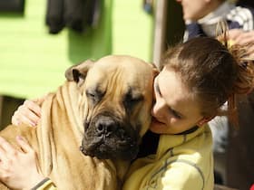 Your Pet May Be The Anti-Depressant You Need To Kick In The Happy Hormones