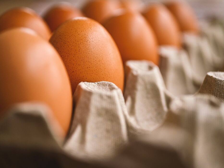6 Brain-Boosting Nutritious Rich Foods For You