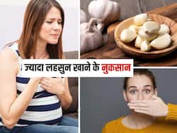 Side effects of garlic: ज्यादा लहसुन खाने से स्वास्थ्य को हो सकते हैं ये 4 नुकसान, सेवन करने से पहले जान लें ये बातें