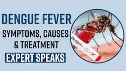 Dengue Fever: Dengue Spreads, Know What Are The Symptoms, Causes, Treatment & Prevention From The Expert, Watch Video