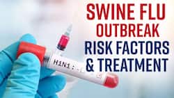 Swine Flu Outbreak: H1N1 Flu Spreads, Know What Are The Symptoms, Causes & Treatment, Watch Video