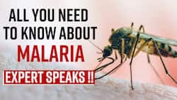 World Mosquito Day 2022: Malaria & Other Mosquito Borne Diseases Can Be Dangerous, Know The Symptoms & Treatment From The Expert, Watch Video