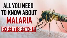 World Mosquito Day 2022: Malaria & Other Mosquito Borne Diseases Can Be Dangerous, Know The Symptoms & Treatment From The Expert, Watch Video