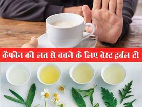 Caffeine addiction: ऐसे नहीं छूटेगी चाय कॉफी की लत, ये 5 हर्बल टी कर सकती हैं मदद