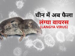 किडनी फेल कर सकता है चीन में मिला ये नया वायरस, जानें कैसे फैलता है और क्या हैं इसके लक्षण