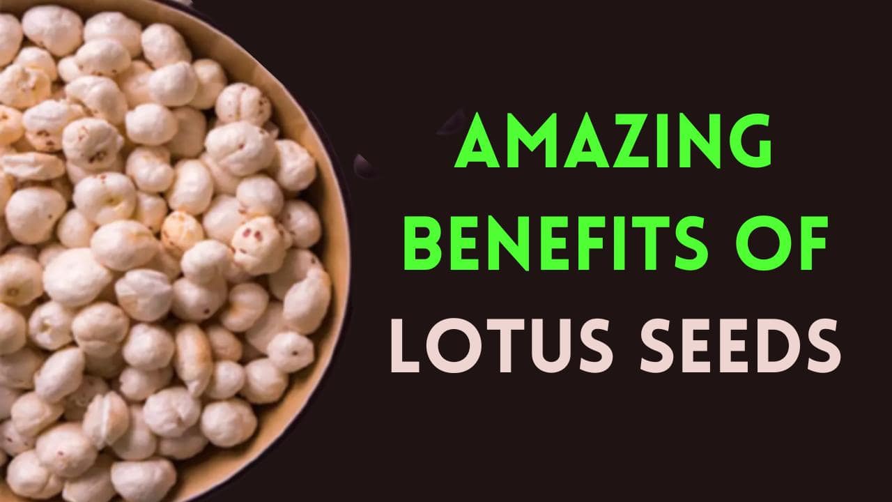 Lotus Seeds Know The Amazing Health Benefits Of Lotus Seeds, Watch