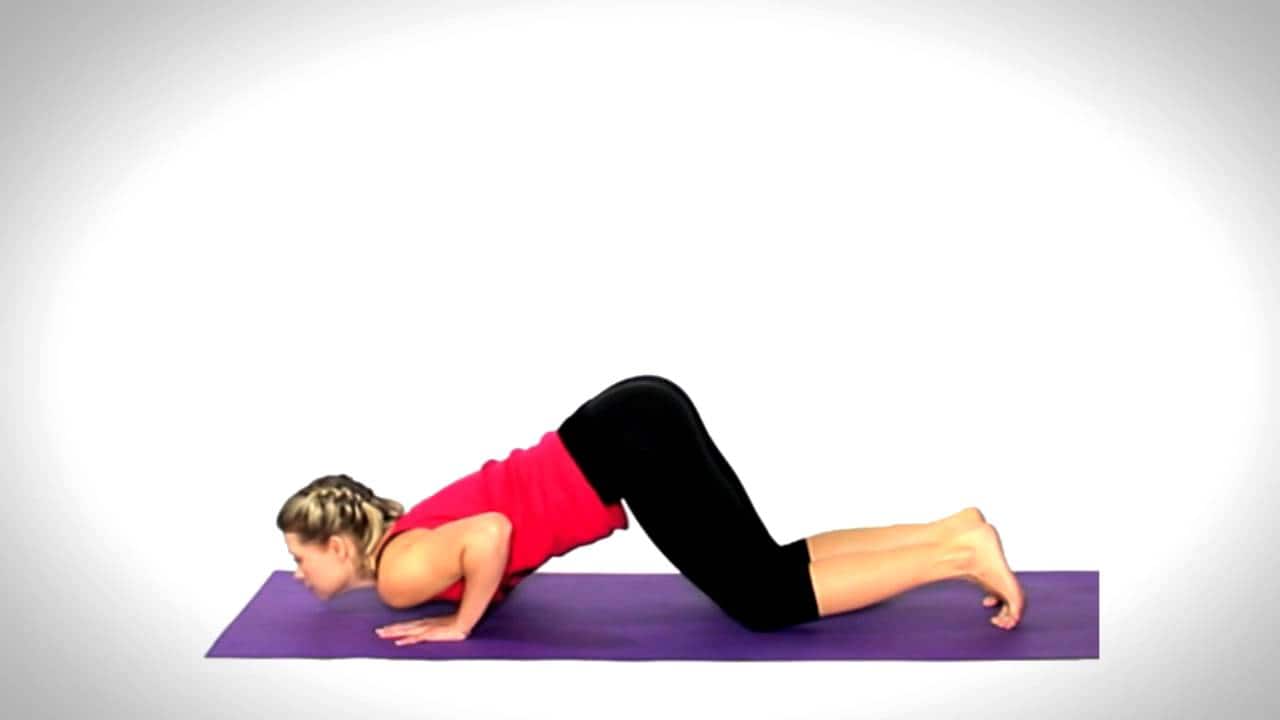 Yoga Pose: Plank | Pocket Yoga