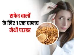 Hair problems: उम्र से पहले बाल होने लगे हैं सफेद, तो इस विधि के साथ इस्तेमाल करें 1 चम्मच मेथी पाउडर